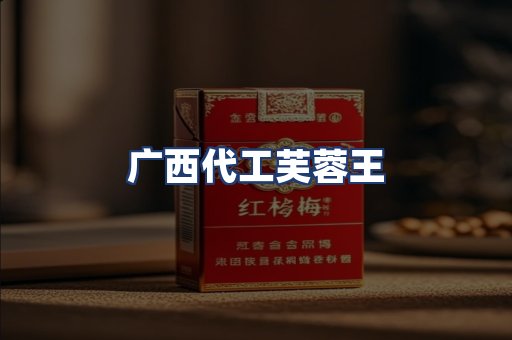广西代工芙蓉王